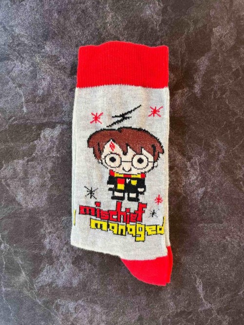 harry potter 1